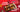 Fusion Sweets Corporate Christmas Gifts