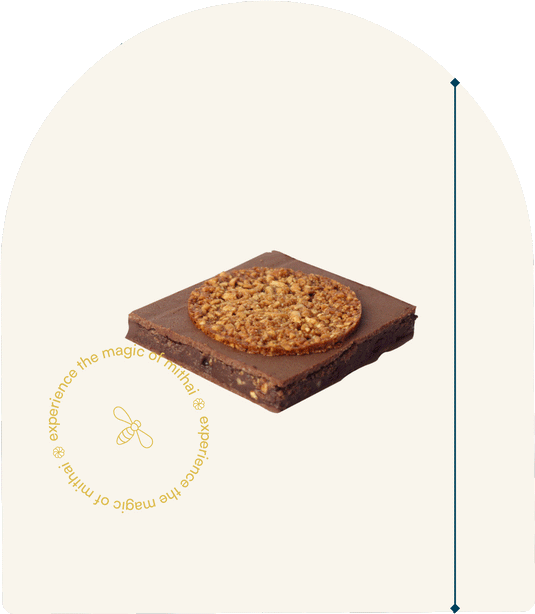 Best Chocolate Fudge in India Bombay's 3Layer Chocolate Fudge